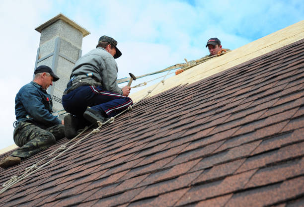 Quick and Trustworthy Emergency Roof Repair Services in Brambleton, VA
